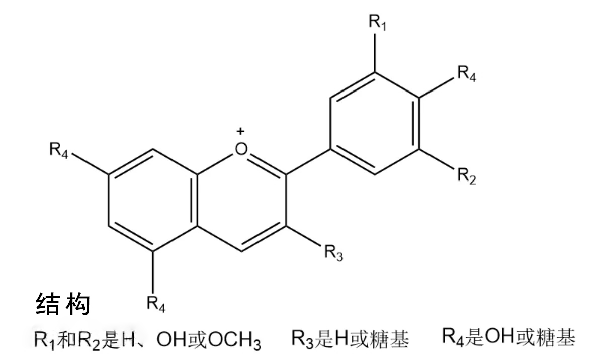 1741741676138893.jpg 微信图片_20250219162357.jpg