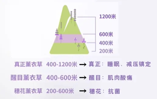 1747270204488884.jpg 微信图片_20250515084746.jpg